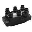 Goss Ignition Coil - [Fits Ford] - C217