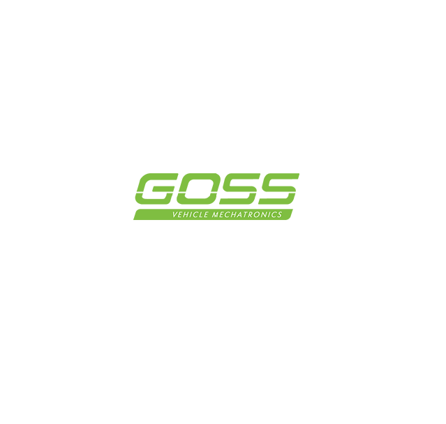 Buy Goss Direct Injection High Pressure Fuel Pump - HPF134 [Fits